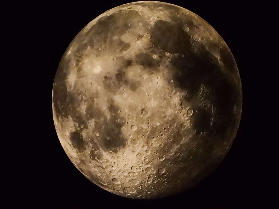 COOLPIX P1000