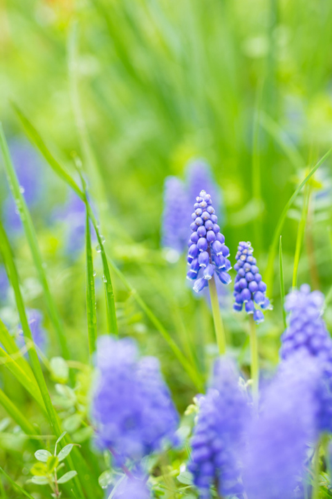 Canon EOS 6D ボディ+SIGMA A 50mm F1.4 DG HSM