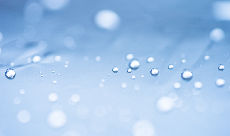 SONY (ソニー) α7ボディ ILCE-7+SONY (ソニー) FE 90mm F2.8 Macro G OSS