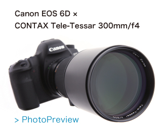 Tele-Tessar 300mm/f4