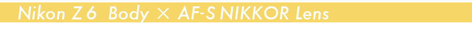 Nikon Z 6 Body × AF-S NIKKOR Lens