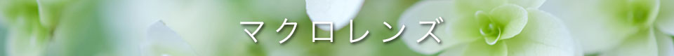 Fマウント マクロレンズ