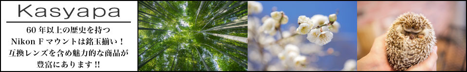 Nikon Fマウントレンズ