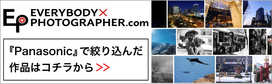 PANASONIC EP