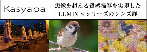 LUMIX SLens