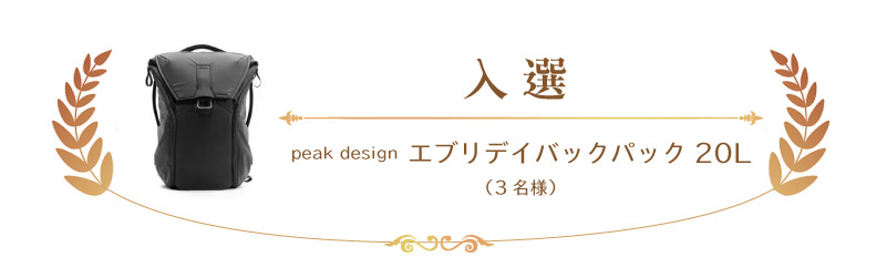 入選