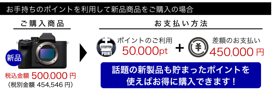 新品例