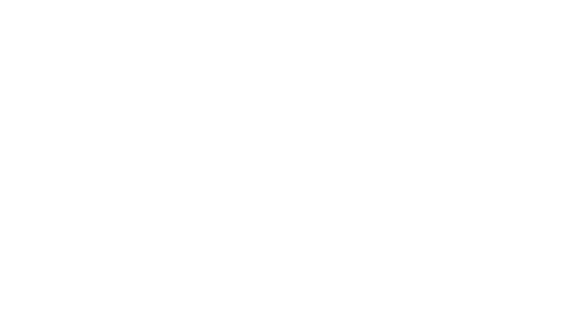 PREMIUM COLLECTION