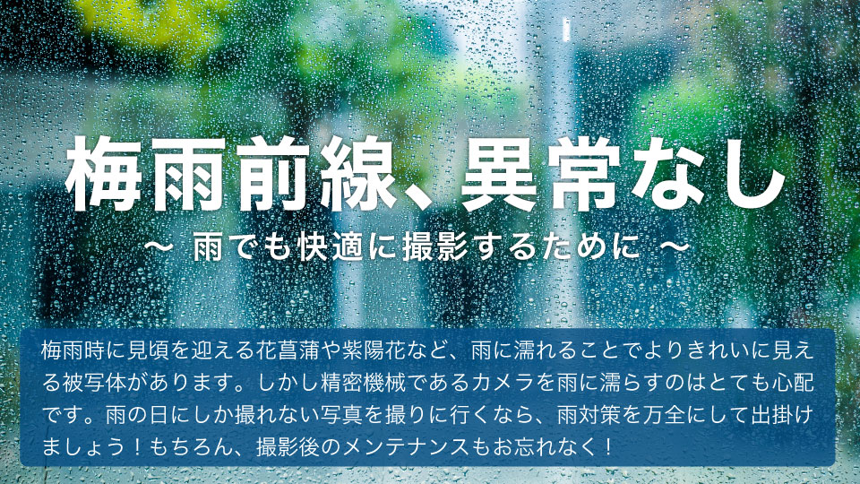 梅雨前線、異常無し