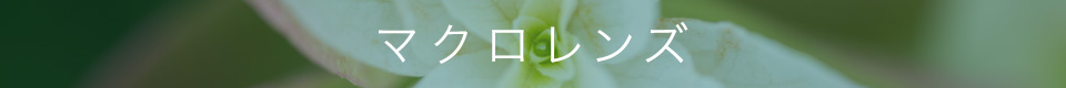 SONY α7R IV