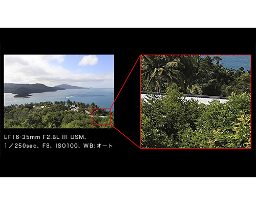 新品)Canon (キヤノン) EF16-35mm F2.8L III USM（商品ID 