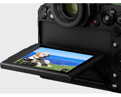 LUMIX DC-S1