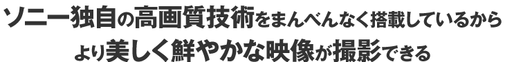 ソニー独自の高画質技術をまんべんなく搭載しているからより美しく鮮やかな映像が撮影できる