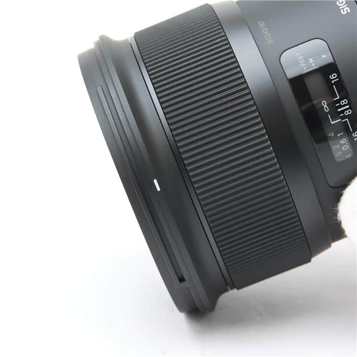 Art 24mm F1.4 DG HSM (キヤノンEF用)