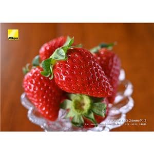 Nikon (ニコン) NIKKOR Z DX 24mm F1.7