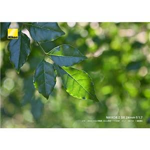 Nikon (ニコン) NIKKOR Z DX 24mm F1.7