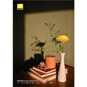 Nikon (ニコン) NIKKOR Z DX 24mm F1.7