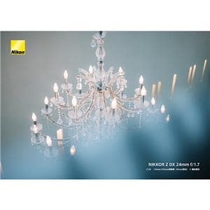 Nikon (ニコン) NIKKOR Z DX 24mm F1.7