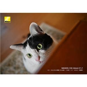 Nikon (ニコン) NIKKOR Z DX 24mm F1.7