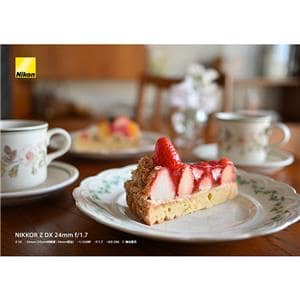 Nikon (ニコン) NIKKOR Z DX 24mm F1.7