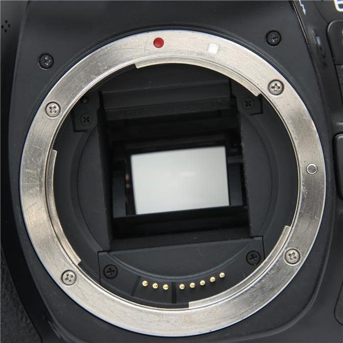 EOS 80D ボディ