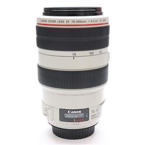 EF 300mm F4 L」の商品検索結果 | デジタルカメラ、ミラーレスカメラ