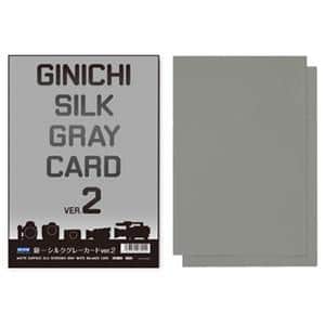 銀一 (ギンイチ) GIN-ICHI Silk Gray Card Ver.2 メイン