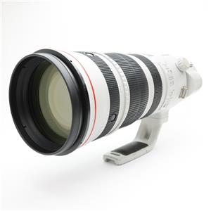 Canon (キヤノン) EF200-400mm F4L IS USM エクステンダー 1.4X メイン