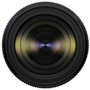 TAMRON (タムロン) 25-200mm F2.8-5.6 Di III VXD G2/ Model A075S (ソニーE用/フルサイズ対応)