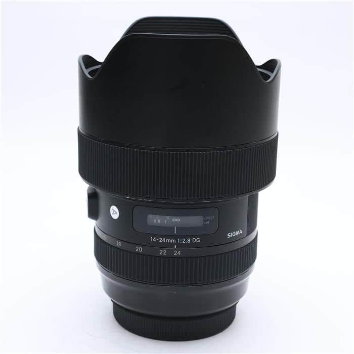 Art 14-24mm F2.8 DG HSM  (キヤノンEF用)