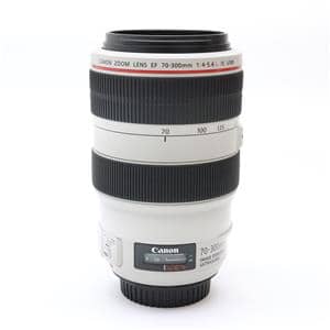 EF 300mm F4 L」の商品検索結果 | デジタルカメラ、ミラーレス