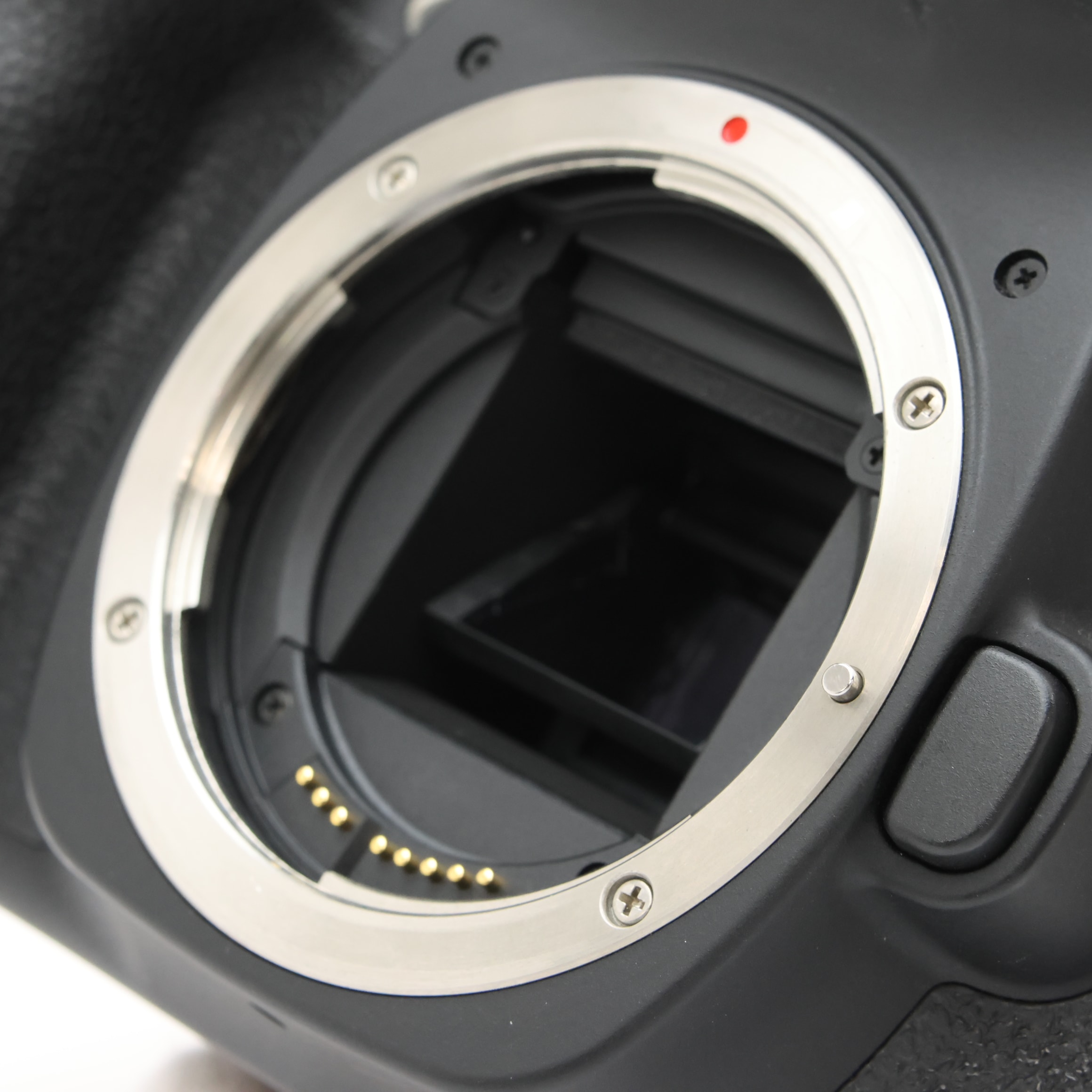 中古)Canon (キヤノン) EOS 80D ボディ（商品ID：3717030849024）詳細