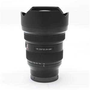 SONY (ソニー) FE 12-24mm F2.8 GM SEL1224GM メイン