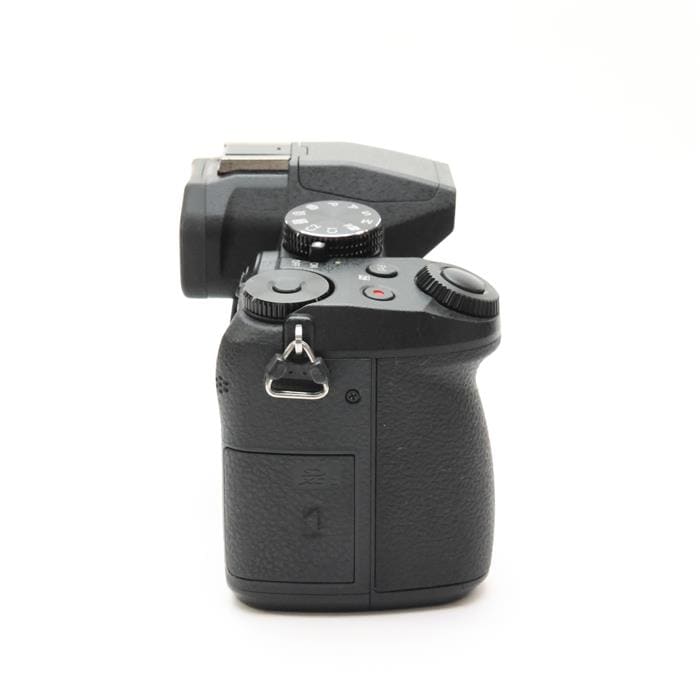 LUMIX DMC-G8M 標準ズームレンズキット