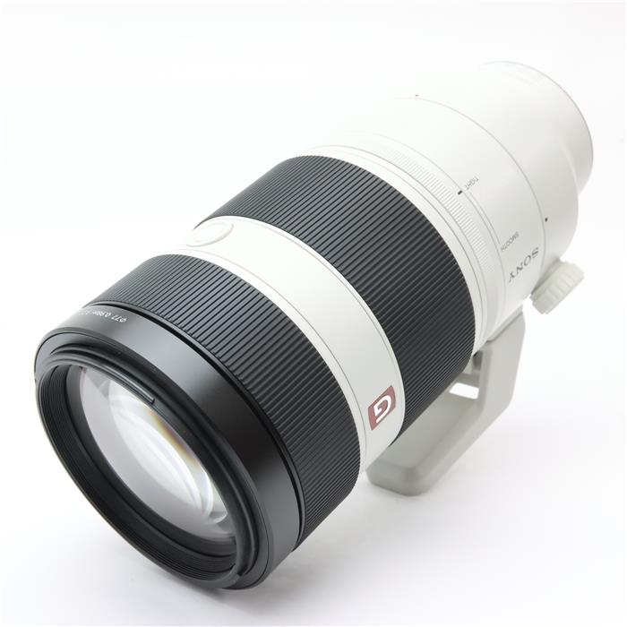 FE 100-400mm F4.5-5.6 GM OSS SEL100400GM