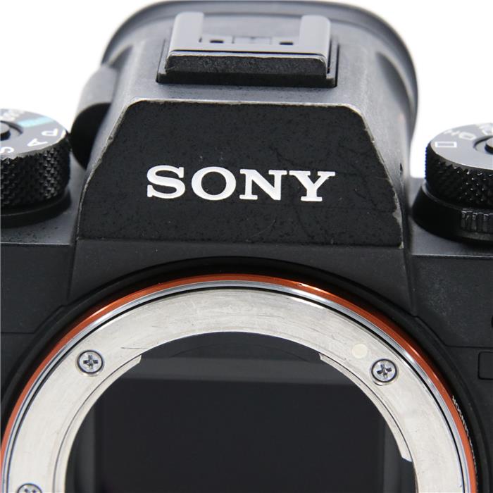 中古)SONY (ソニー) α9 ボディ ILCE-9(商品ID:3717014159033)詳細ページ | デジタルカメラ、ミラーレス カメラ、交換レンズの総合サイト|マップカメラ