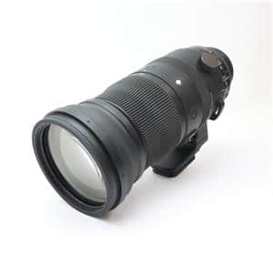 新品)SIGMA (シグマ) Sports 150-600mm F5-6.3 DG DN OS (ライカSL/TL