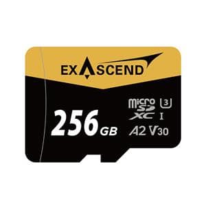 Catalyst microSDXCカード 256GB UHS-I EX256GUSDU1