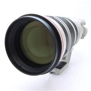 キヤノン EF200-400mm F4L IS USM エクステンダー1.4× 購入レビュー】EF200-400mm F4L IS USM エクステンダー 1.4X｜タカシ