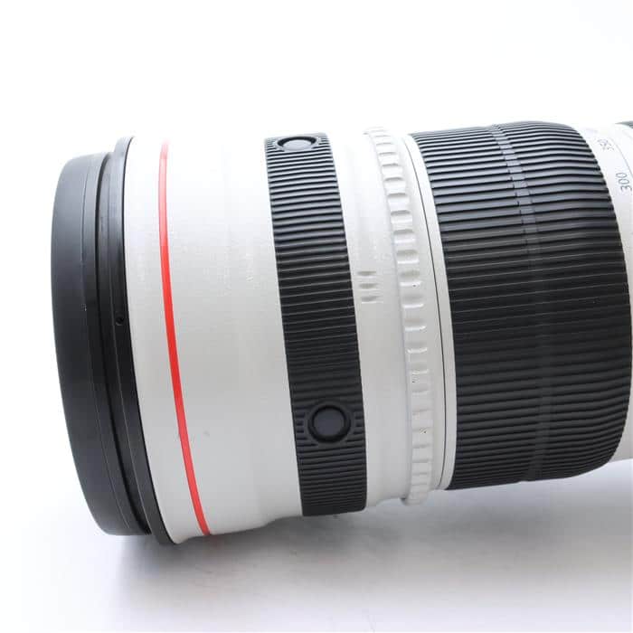 Canon EF200-400mm F4L IS USM エクステンダー1.4X