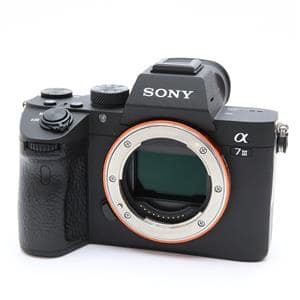 SONY a7iii 並品 SONY a7iii used」の商品検索結果 | デジタルカメラ、ミラーレスカメラ