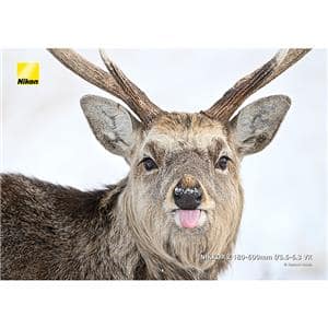 Nikon (ニコン) NIKKOR Z 180-600mm F5.6-6.3 VR