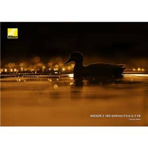Nikon (ニコン) NIKKOR Z 180-600mm F5.6-6.3 VR