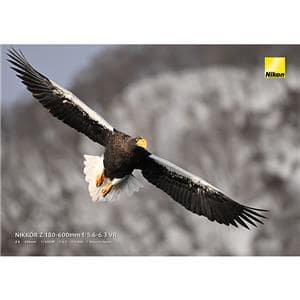 Nikon (ニコン) NIKKOR Z 180-600mm F5.6-6.3 VR