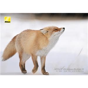 Nikon (ニコン) NIKKOR Z 180-600mm F5.6-6.3 VR