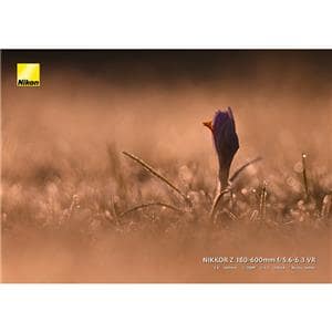 Nikon (ニコン) NIKKOR Z 180-600mm F5.6-6.3 VR