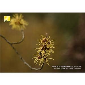 Nikon (ニコン) NIKKOR Z 180-600mm F5.6-6.3 VR