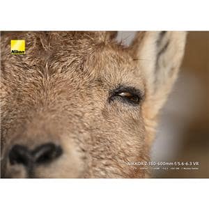 Nikon (ニコン) NIKKOR Z 180-600mm F5.6-6.3 VR