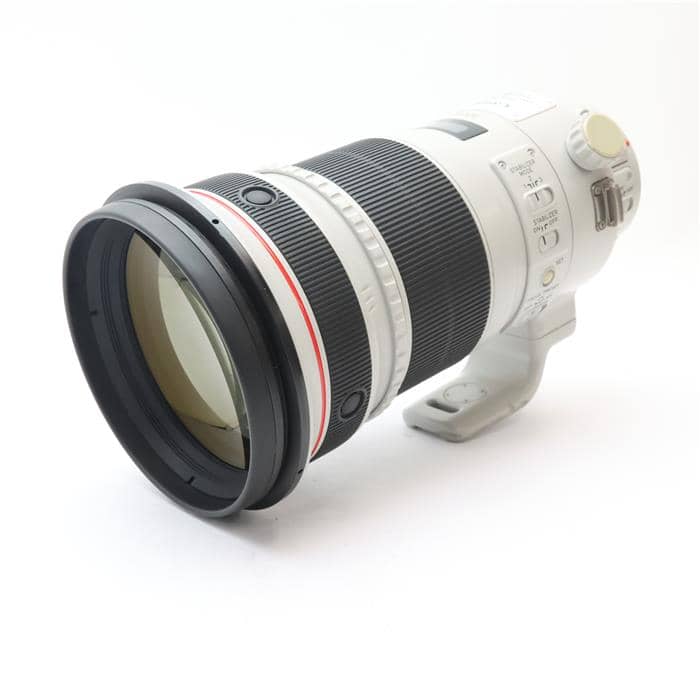 EF300mm F2.8L IS II USM