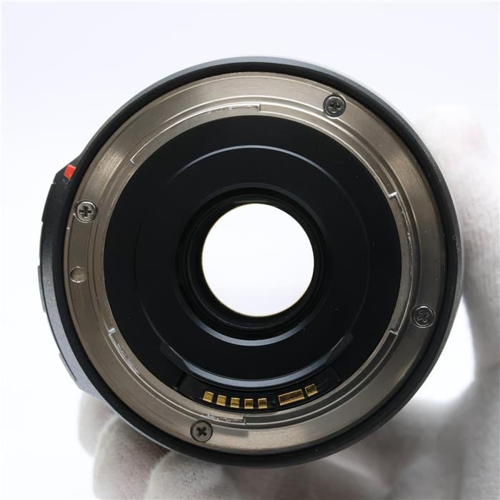 16-300mm F3.5-6.3 DiII VC PZD MACRO Model B016E(キヤノンEF用)